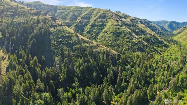 136 Tamarack Lane, Dayton, WA 99328