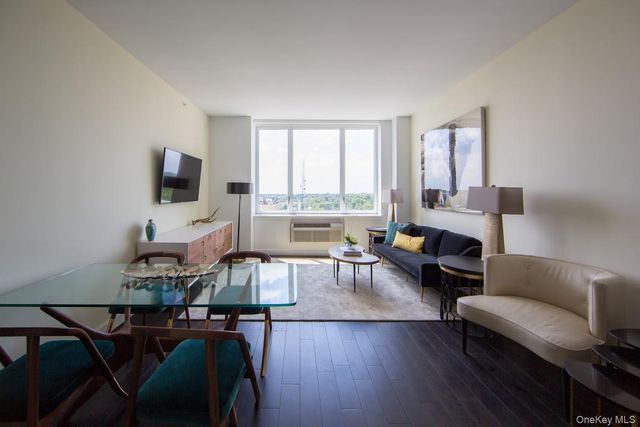 1 Third 10205, Mineola, NY 11501