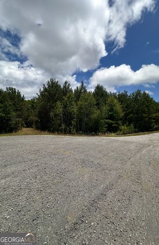 0 Bob Smith Road 12, Sharpsburg, GA 30277
