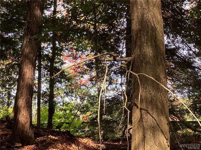 3620 Yochum Road, Eden, NY 14057