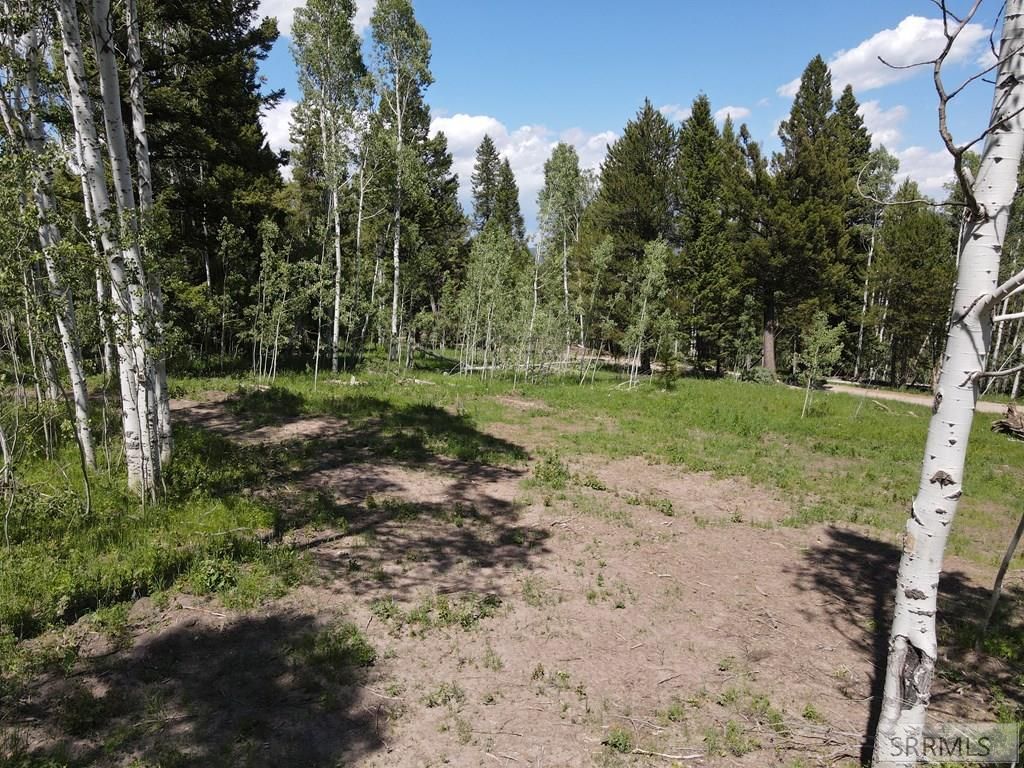 Image 15 of property listing at 4920 Alpenglow Way, Island Park, ID 83429