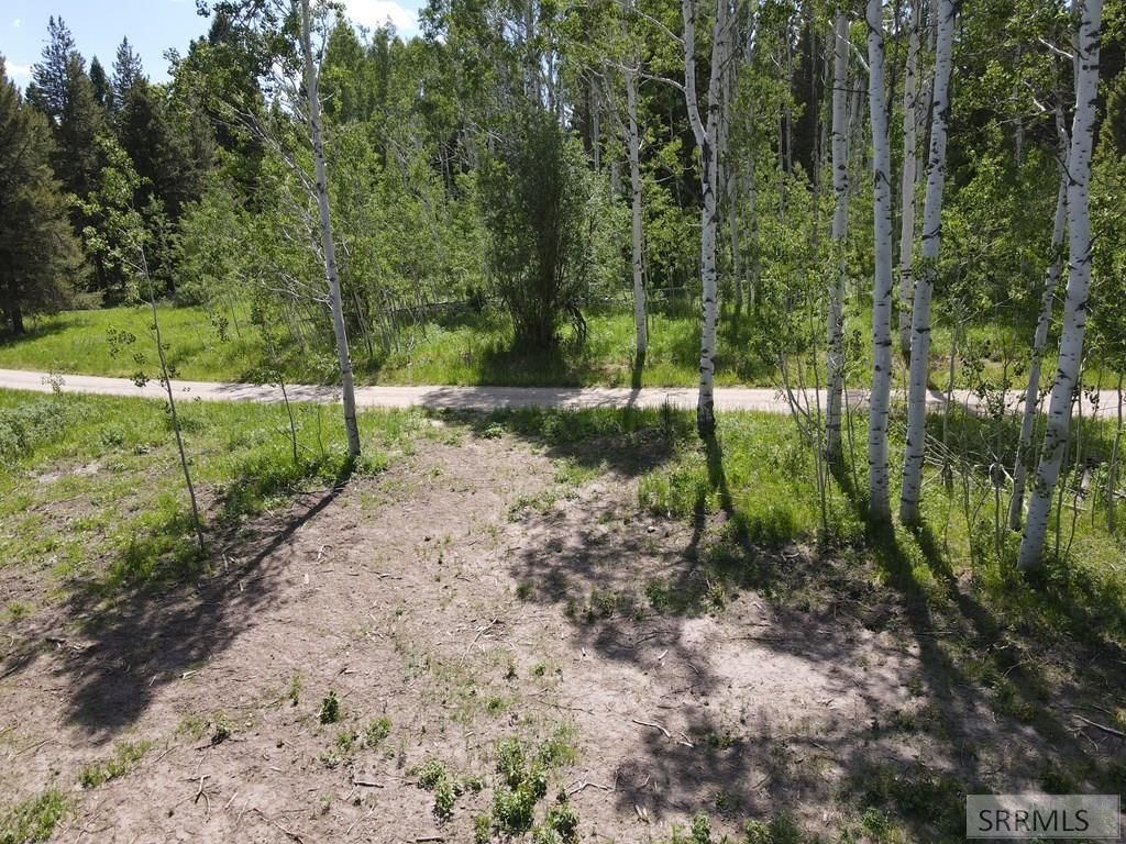 Image 4 of property listing at 4920 Alpenglow Way, Island Park, ID 83429