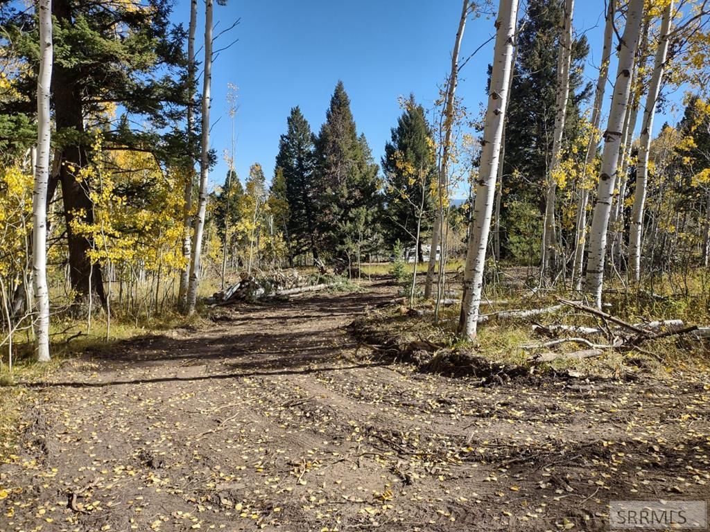 Image 8 of property listing at 4920 Alpenglow Way, Island Park, ID 83429