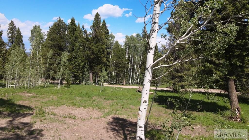 Image 9 of property listing at 4920 Alpenglow Way, Island Park, ID 83429