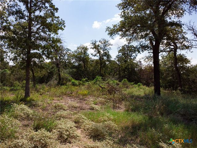 394 Turkey Hollow Road, Luling, TX 78648