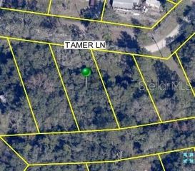 TAMER LANE, Dade City, FL 33523