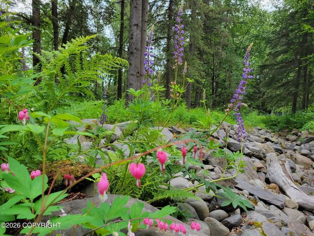 15124 Loc Loman Lane, Anchorage, AK 99516
