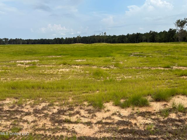 Lot 5 Hwy 43, Kiln, MS 39556