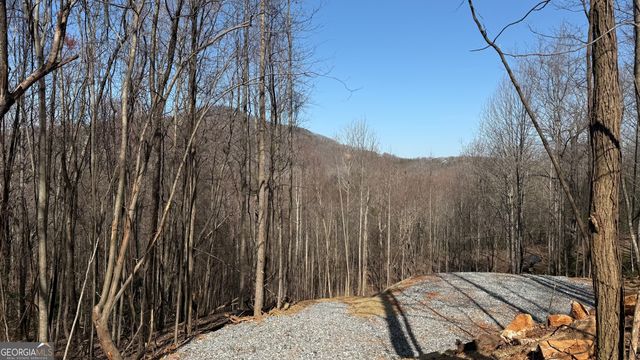 LOT 17 Chalet, Sautee Nacoochee, GA 30571