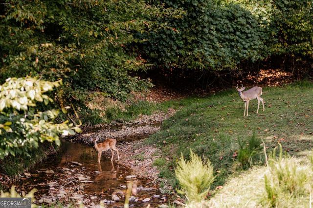 0 Omen Court, Ellijay, GA 30540