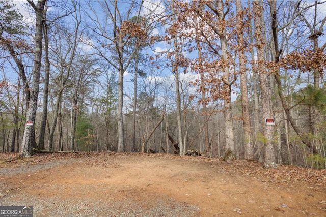 0 Omen Court, Ellijay, GA 30540