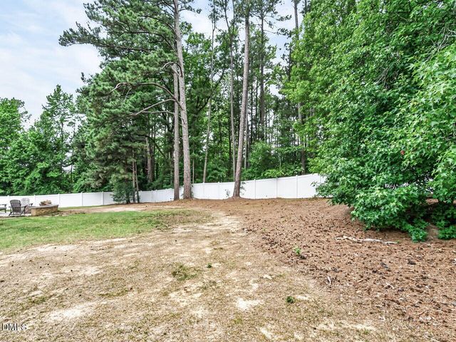 250 Carsons Creek Trail, Wendell, NC 27591