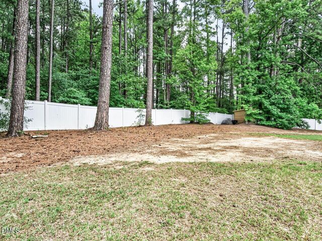 250 Carsons Creek Trail, Wendell, NC 27591