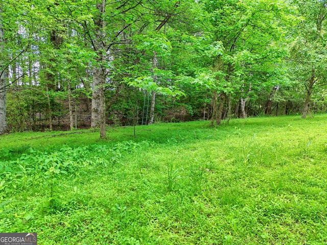215 Dovie Ray Road, Dahlonega, GA 30533