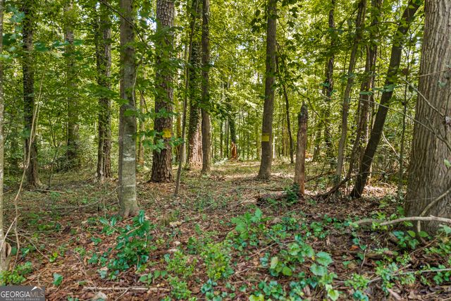 474 Lewis Drive, Lavonia, GA 30553