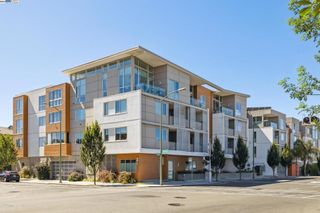 340 29Th Ave 204, Oakland, CA 94601
