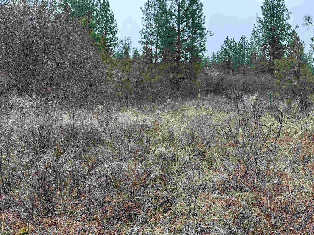3250 Daisy Mine Rd, Rice, WA 99167 photo 2