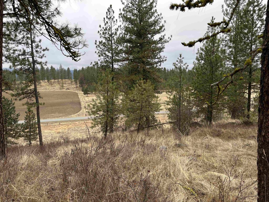 3250 Daisy Mine Rd, Rice, WA 99167 photo 11