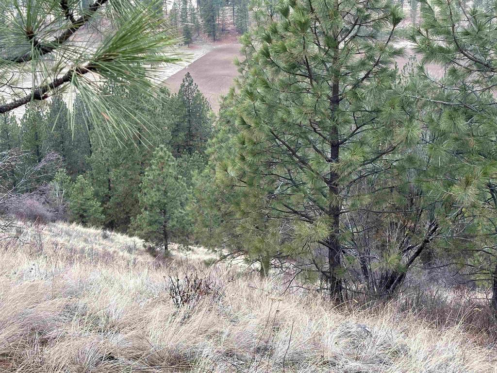 3250 Daisy Mine Rd, Rice, WA 99167 photo 12