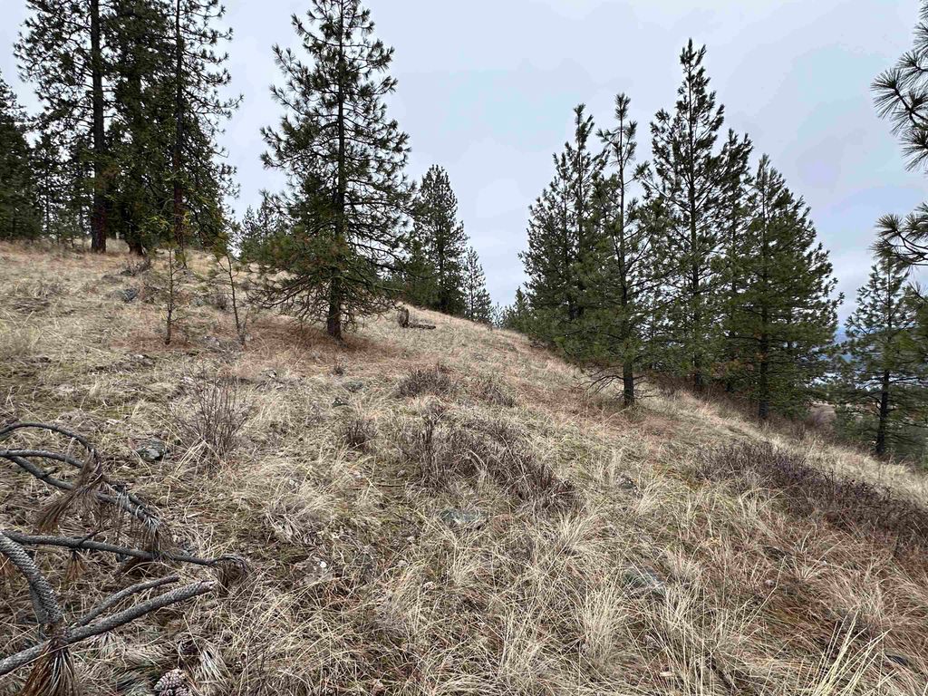 3250 Daisy Mine Rd, Rice, WA 99167 photo 13