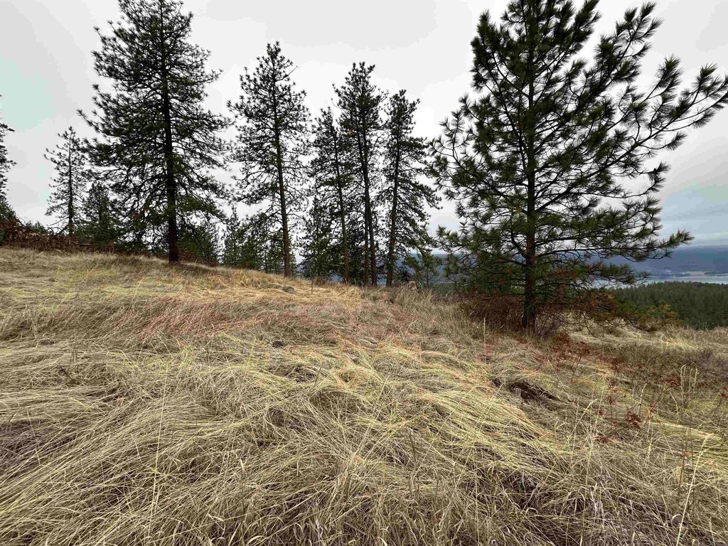 3250 Daisy Mine Rd, Rice, WA 99167 photo 14