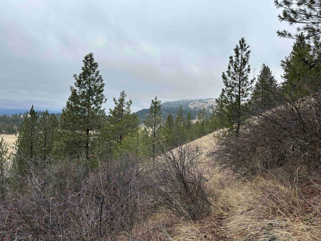 3250 Daisy Mine Rd, Rice, WA 99167 photo 15