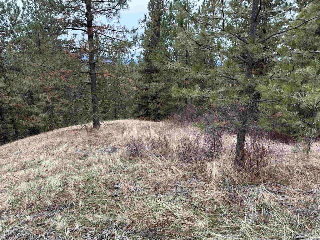 3250 Daisy Mine Rd, Rice, WA 99167 photo 4