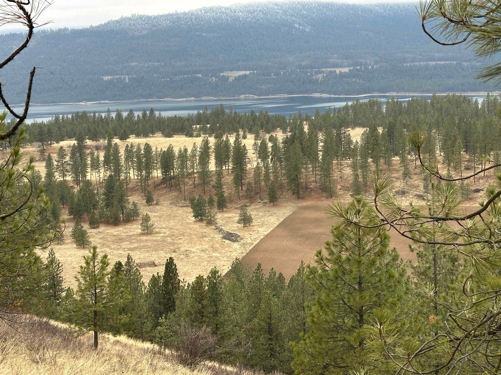 3250 Daisy Mine Rd, Rice, WA 99167 photo 6