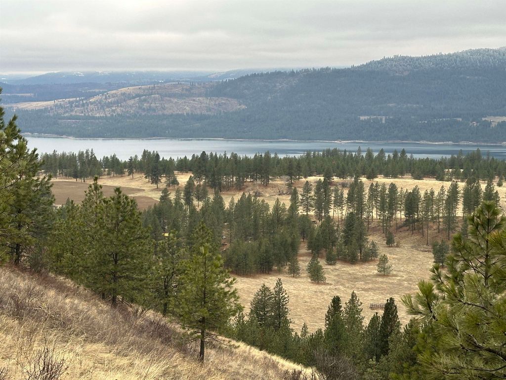 3250 Daisy Mine Rd, Rice, WA 99167 photo 7