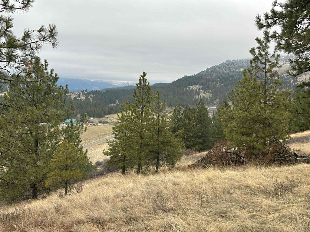 3250 Daisy Mine Rd, Rice, WA 99167 photo 8
