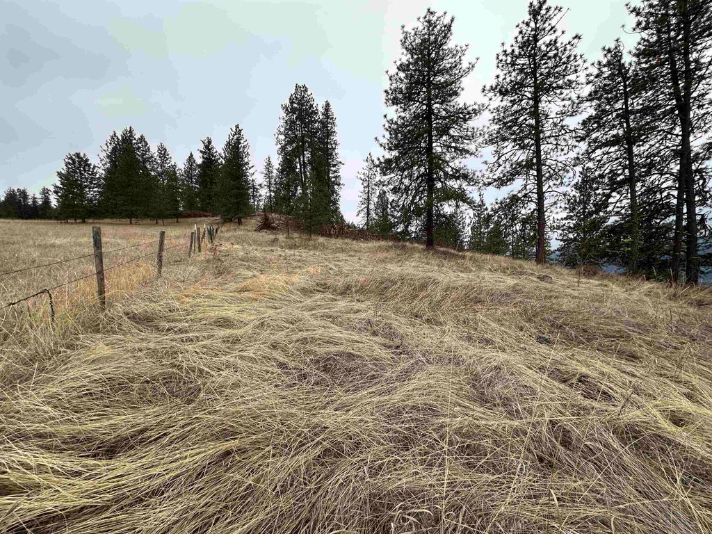 3250 Daisy Mine Rd, Rice, WA 99167 photo 9