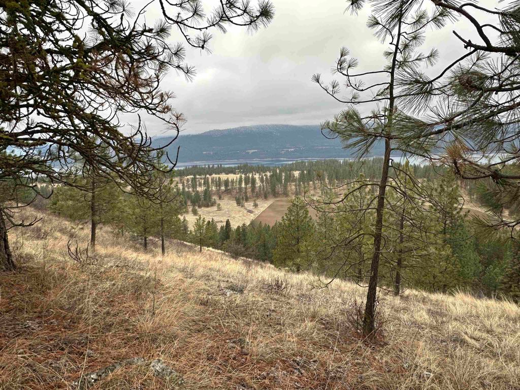3250 Daisy Mine Rd, Rice, WA 99167 photo 10