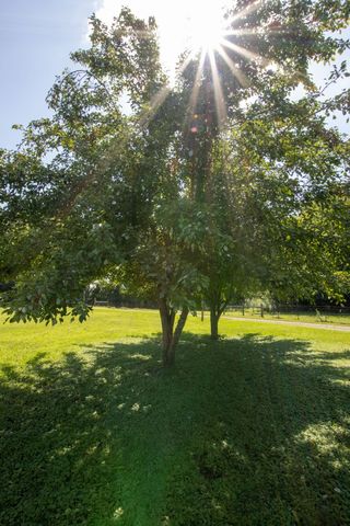 148 Wade Jennings Rd, Shelbyville, TN 37160