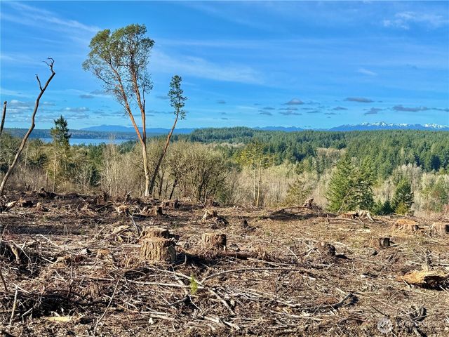 4324 183rd Avenue Ct SW, Longbranch, WA 98351