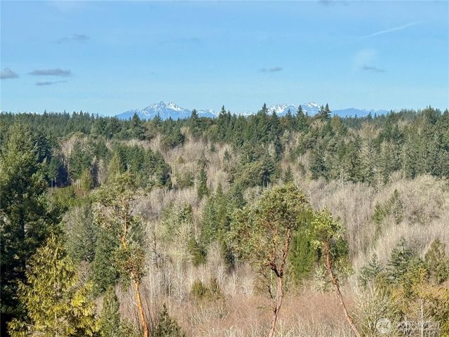 4324 183rd Avenue Ct SW, Longbranch, WA 98351