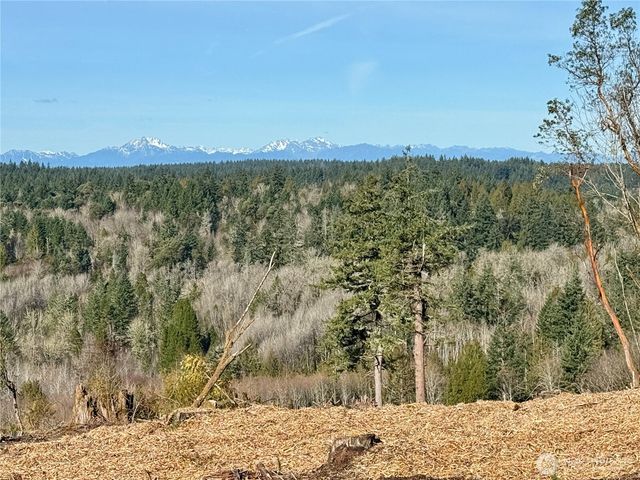 4324 183rd Avenue Ct SW, Longbranch, WA 98351