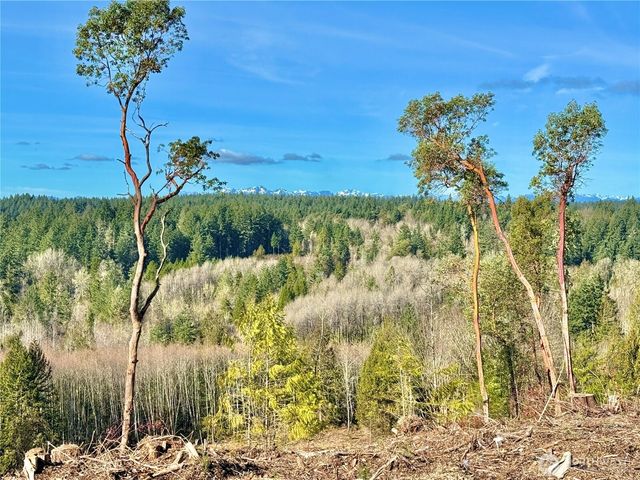 4324 183rd Avenue Ct SW, Longbranch, WA 98351