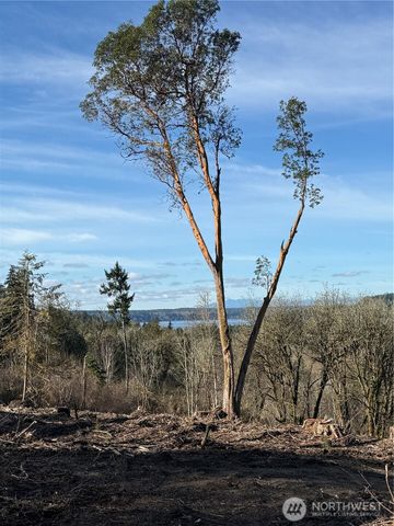 4324 183rd Avenue Ct SW, Longbranch, WA 98351