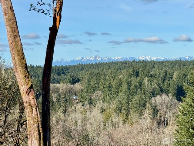 4324 183rd Avenue Ct SW, Longbranch, WA 98351