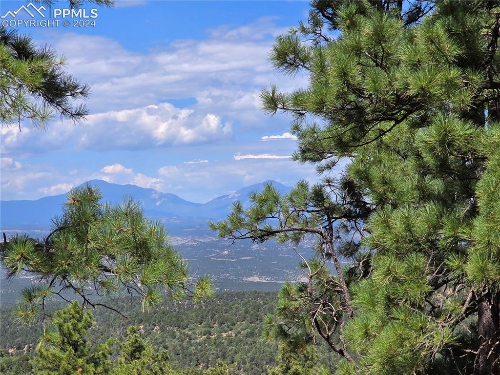 33036 Meadow Ridge Lane, Trinidad, CO 81082 — photo 3