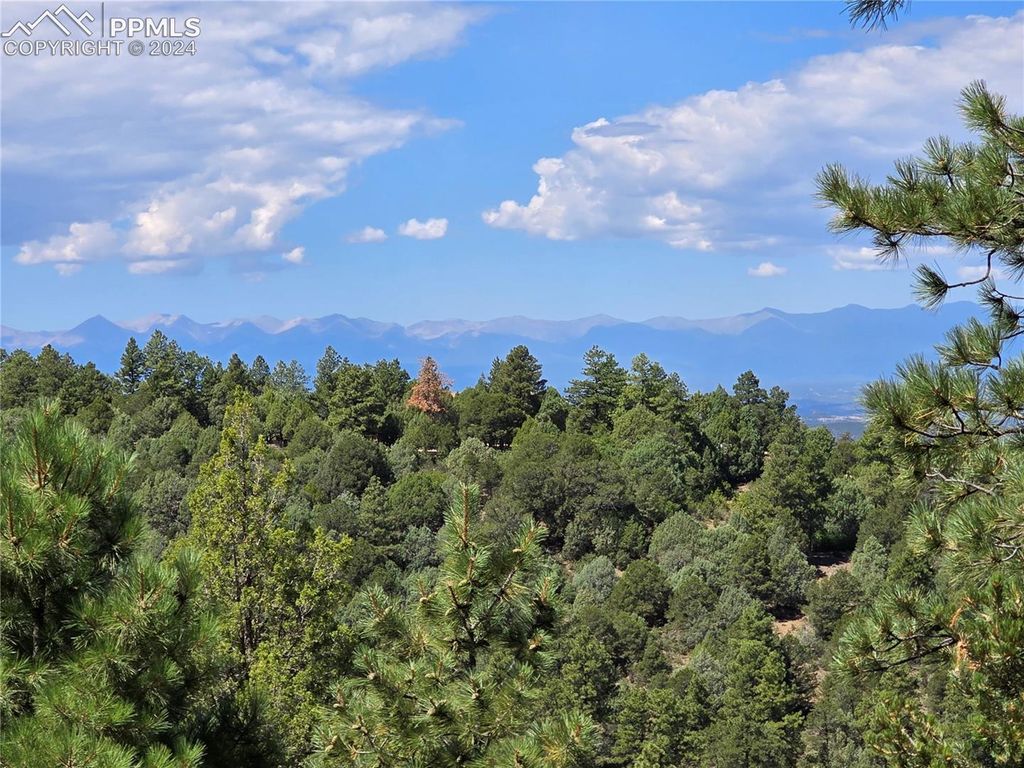 33036 Meadow Ridge Lane, Trinidad, CO 81082 — photo 4