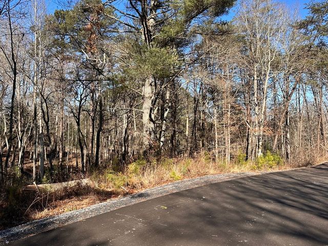 Lot 14 Fairview Way, Blue Ridge, GA 30560