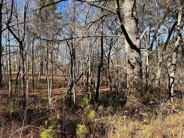 Lot 14 Fairview Way, Blue Ridge, GA 30560