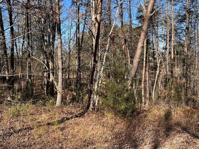 Lot 14 Fairview Way, Blue Ridge, GA 30560