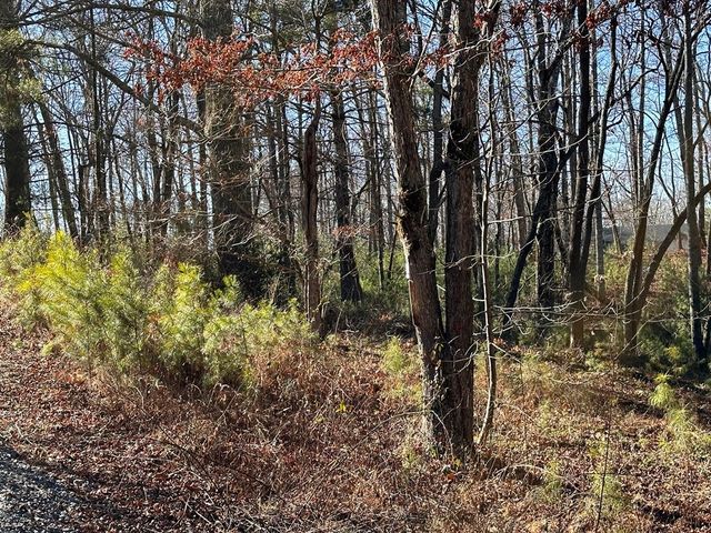 Lot 14 Fairview Way, Blue Ridge, GA 30560