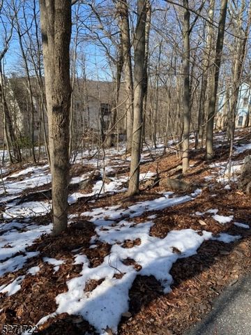 43 Hampton Rd, West Milford Twp., NJ 07421