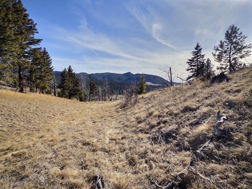 83 Nursery Creek, Boulder, MT 59632 — photo 4