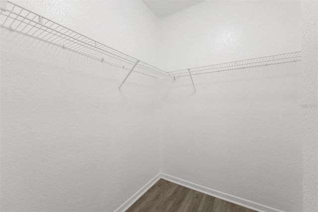 17110 CARRINGTON PARK DRIVE 832, Tampa, FL 33647
