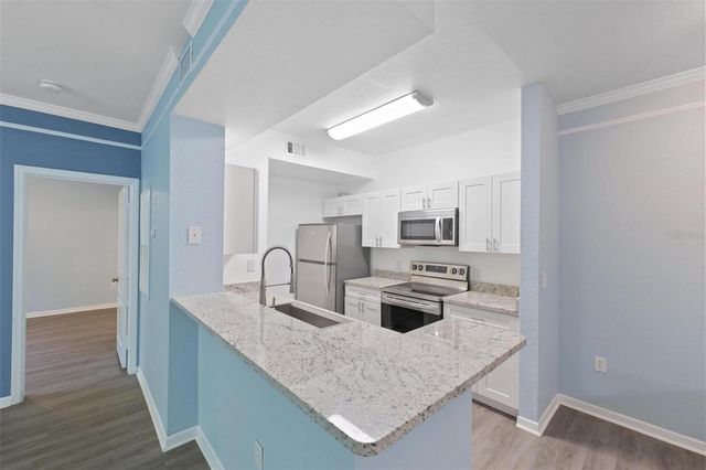 17110 CARRINGTON PARK DRIVE 832, Tampa, FL 33647