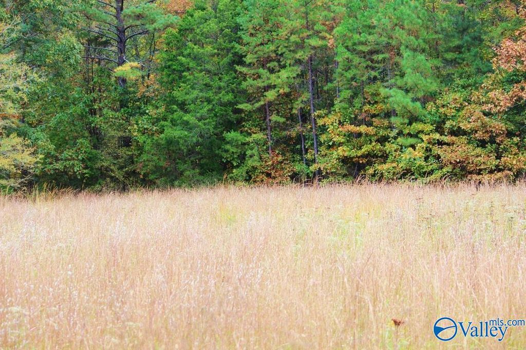 3753 S Woodtrail SW, Decatur, AL 35603